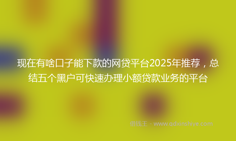 现在有啥口子能下款的网贷平台2025年推荐，总结五个黑户可快速办理小额贷款业务的平台