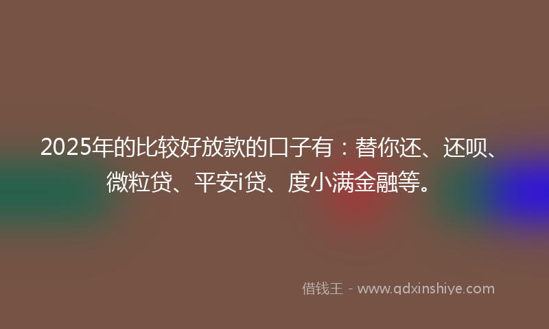 2025年的比较好放款的口子有：替你还、还呗、微粒贷、平安i贷、度小满金融等。