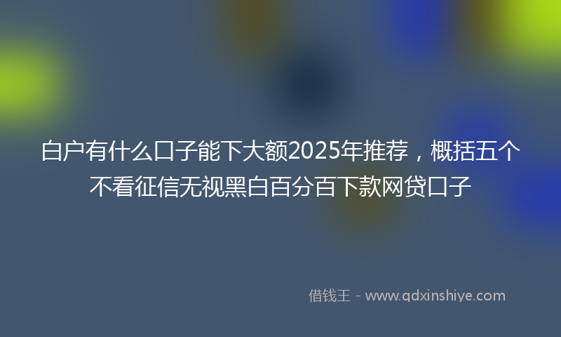白户有什么口子能下大额2025年推荐,概括五个不看征信无视黑白百分百下款网贷口子