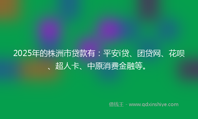 2025年的株洲市贷款有：平安i贷、团贷网、花呗、超人卡、中原消费金融等。