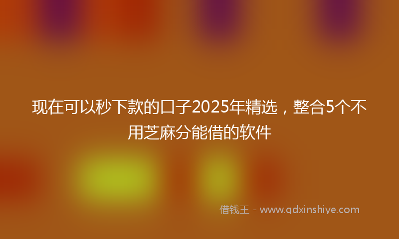 现在可以秒下款的口子2025年精选，整合5个不用芝麻分能借的软件
