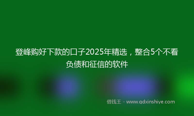 登峰购好下款的口子2025年精选，整合5个不看负债和征信的软件