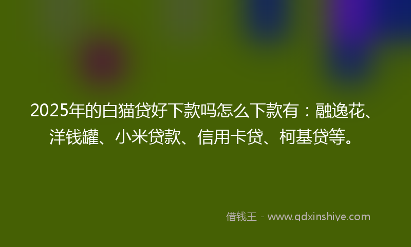 2025年的白猫贷好下款吗怎么下款有：融逸花、洋钱罐、小米贷款、信用卡贷、柯基贷等。