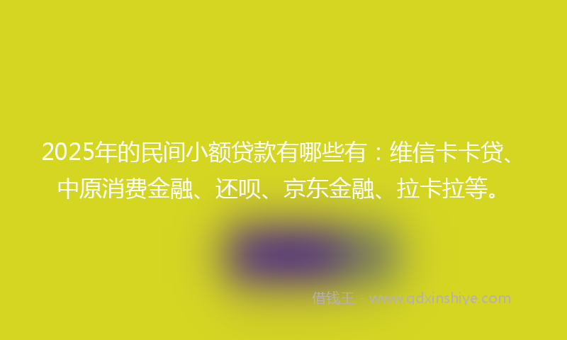 2025年的民间小额贷款有哪些有：维信卡卡贷、中原消费金融、还呗、京东金融、拉卡拉等。