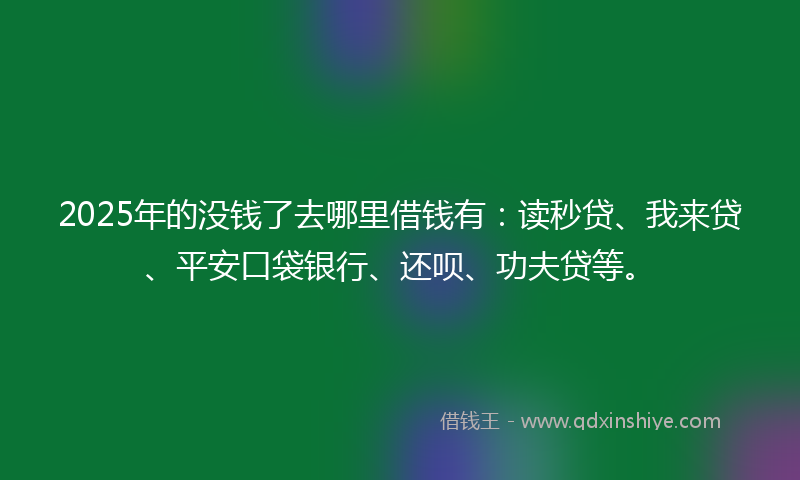 2025年的没钱了去哪里借钱有：读秒贷、我来贷、平安口袋银行、还呗、功夫贷等。
