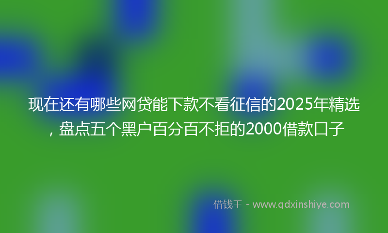 现在还有哪些网贷能下款不看征信的2025年精选，盘点五个黑户百分百不拒的2000借款口子