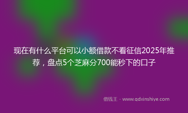 现在有什么平台可以小额借款不看征信2025年推荐，盘点5个芝麻分700能秒下的口子
