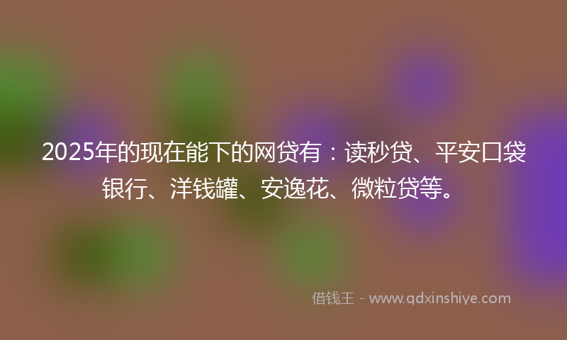 2025年的现在能下的网贷有：读秒贷、平安口袋银行、洋钱罐、安逸花、微粒贷等。