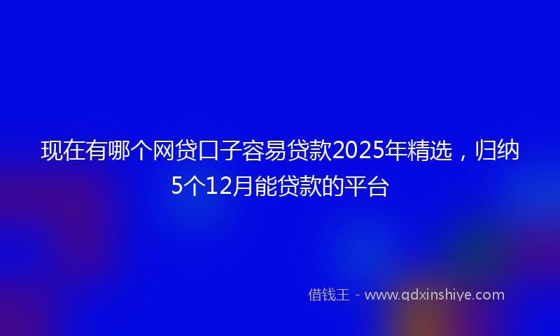 现在有哪个网贷口子容易贷款2025年精选，归纳5个12月能贷款的平台