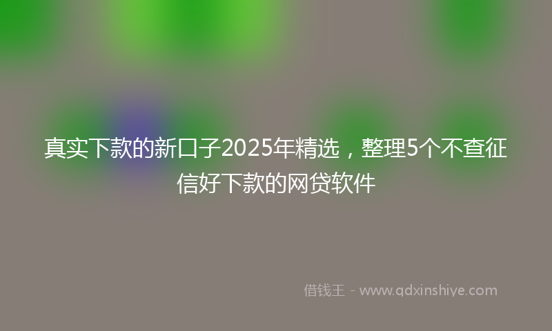 真实下款的新口子2025年精选，整理5个不查征信好下款的网贷软件
