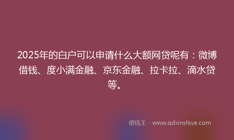 2025年的白户可以申请什么大额网贷呢有：微博借钱、度小满金融、京东金融、拉卡拉、滴水贷等。