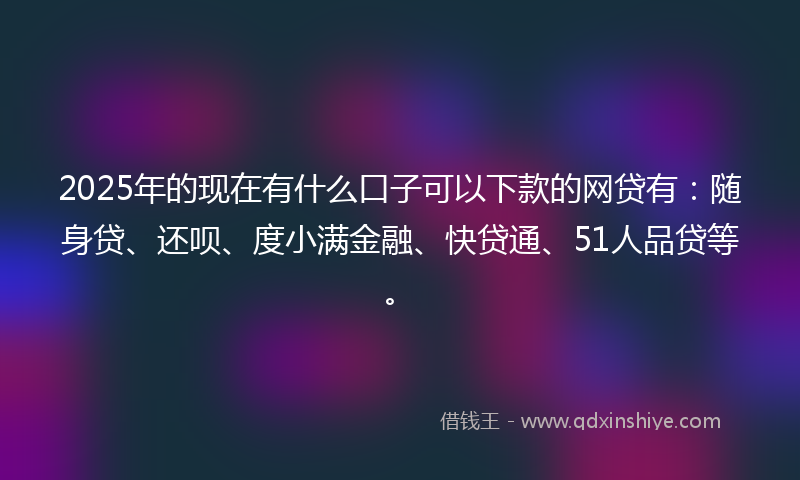 2025年的现在有什么口子可以下款的网贷有：随身贷、还呗、度小满金融、快贷通、51人品贷等。