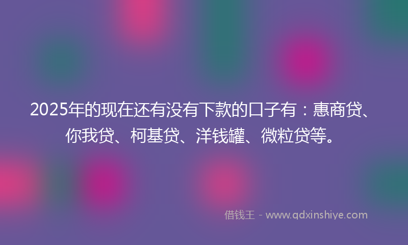 2025年的现在还有没有下款的口子有：惠商贷、你我贷、柯基贷、洋钱罐、微粒贷等。
