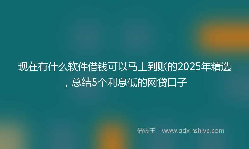 现在有什么软件借钱可以马上到账的2025年精选,总结5个利息低的网贷口子