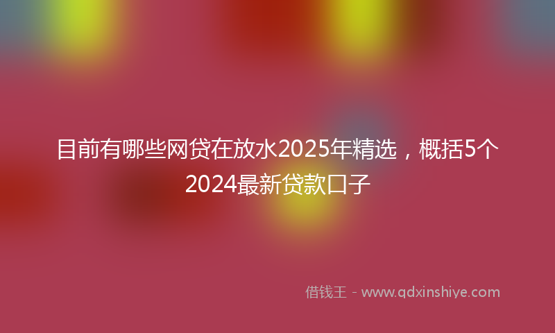 目前有哪些网贷在放水2025年精选，概括5个2024最新贷款口子