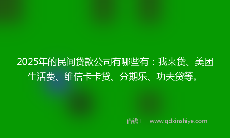 2025年的民间贷款公司有哪些有：我来贷、美团生活费、维信卡卡贷、分期乐、功夫贷等。
