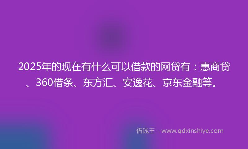 2025年的现在有什么可以借款的网贷有：惠商贷、360借条、东方汇、安逸花、京东金融等。