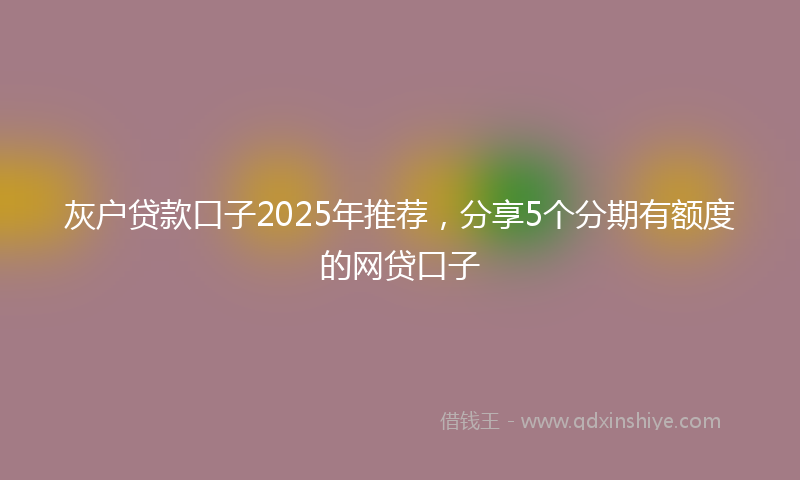 灰户贷款口子2025年推荐，分享5个分期有额度的网贷口子