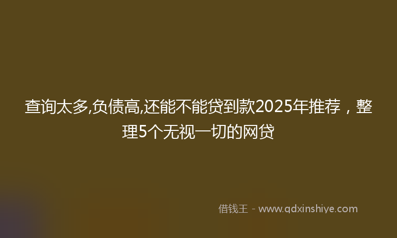 查询太多,负债高,还能不能贷到款2025年推荐，整理5个无视一切的网贷