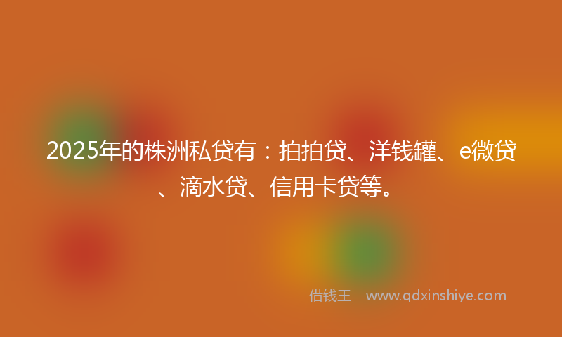 2025年的株洲私贷有：拍拍贷、洋钱罐、e微贷、滴水贷、信用卡贷等。