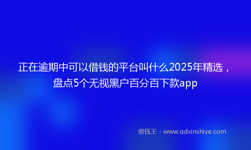 正在逾期中可以借钱的平台叫什么2025年精选，盘点5个无视黑户百分百下款app