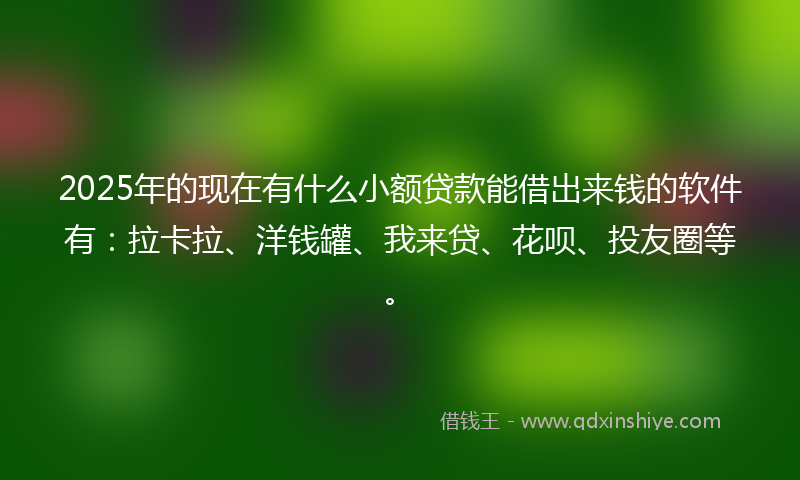 2025年的现在有什么小额贷款能借出来钱的软件有：拉卡拉、洋钱罐、我来贷、花呗、投友圈等。