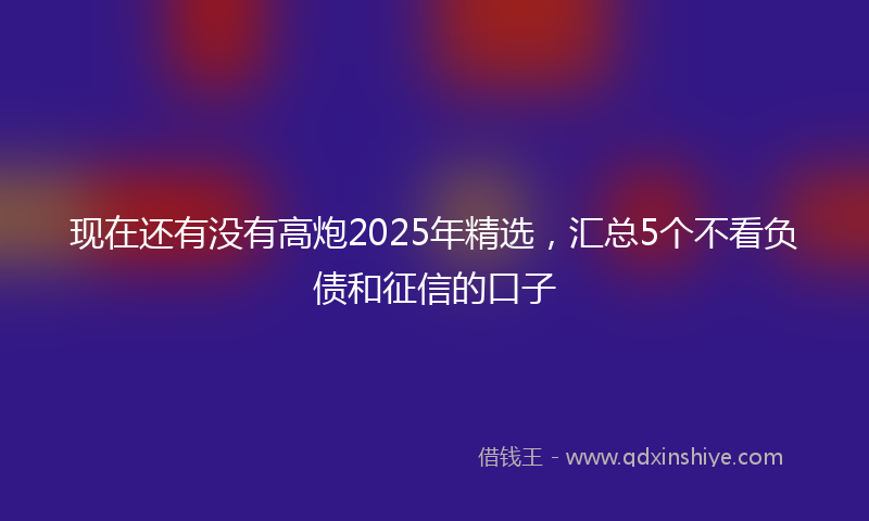现在还有没有高炮2025年精选，汇总5个不看负债和征信的口子