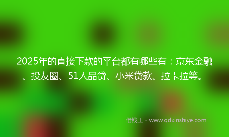 2025年的直接下款的平台都有哪些有：京东金融、投友圈、51人品贷、小米贷款、拉卡拉等。