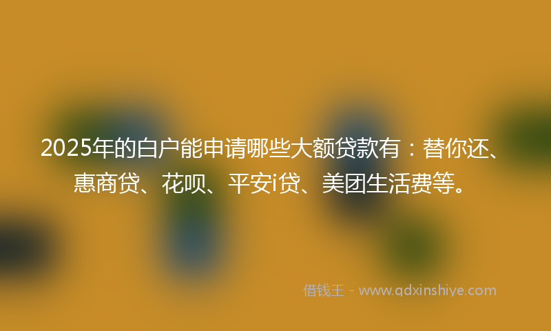 2025年的白户能申请哪些大额贷款有：替你还、惠商贷、花呗、平安i贷、美团生活费等。
