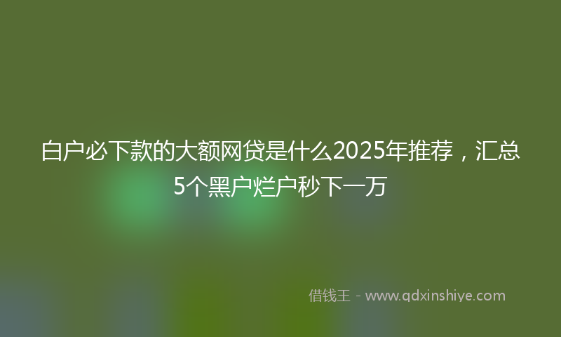 白户必下款的大额网贷是什么2025年推荐，汇总5个黑户烂户秒下一万