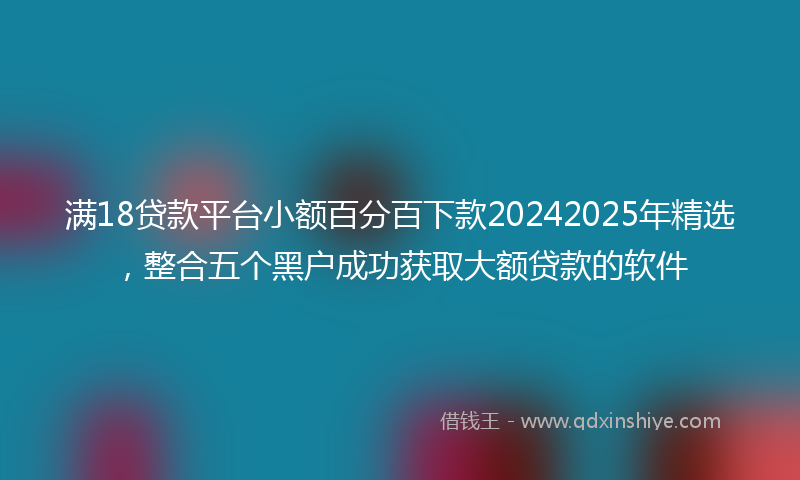 满18贷款平台小额百分百下款20242025年精选，整合五个黑户成功获取大额贷款的软件