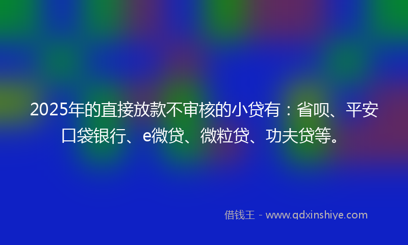 2025年的直接放款不审核的小贷有：省呗、平安口袋银行、e微贷、微粒贷、功夫贷等。