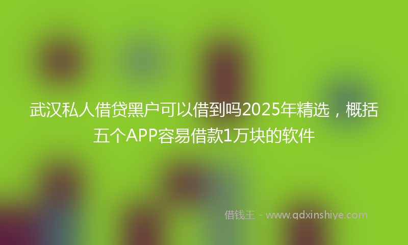 武汉私人借贷黑户可以借到吗2025年精选，概括五个APP容易借款1万块的软件