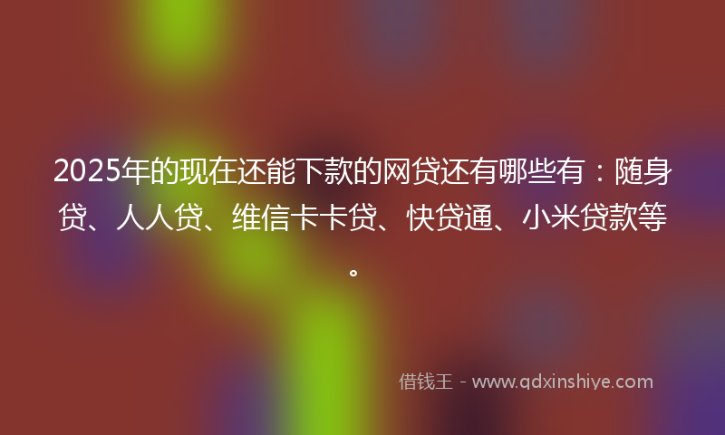 2025年的现在还能下款的网贷还有哪些有：随身贷、人人贷、维信卡卡贷、快贷通、小米贷款等。