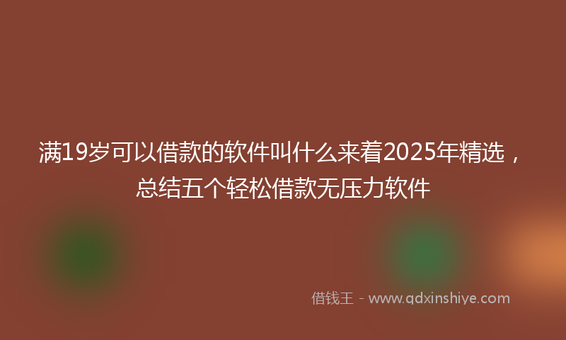 满19岁可以借款的软件叫什么来着2025年精选，总结五个轻松借款无压力软件