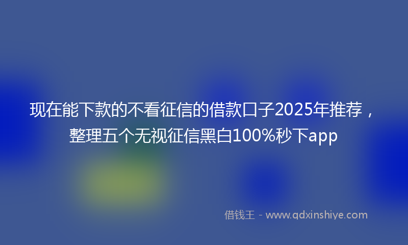 现在能下款的不看征信的借款口子2025年推荐，整理五个无视征信黑白100%秒下app
