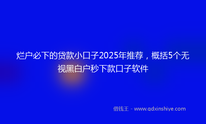 烂户必下的贷款小口子2025年推荐，概括5个无视黑白户秒下款口子软件