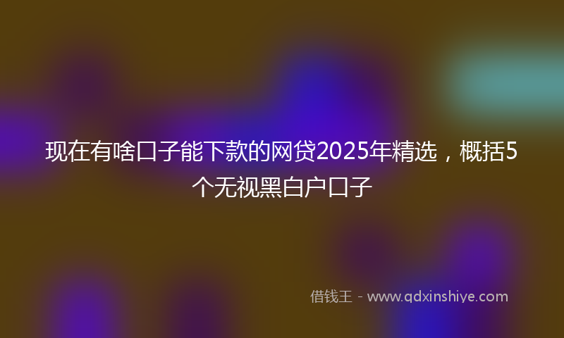 现在有啥口子能下款的网贷2025年精选，概括5个无视黑白户口子