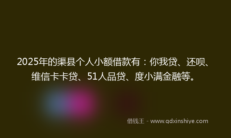 2025年的渠县个人小额借款有：你我贷、还呗、维信卡卡贷、51人品贷、度小满金融等。