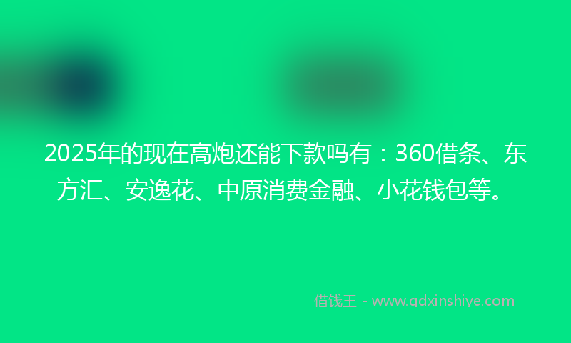 2025年的现在高炮还能下款吗有：360借条、东方汇、安逸花、中原消费金融、小花钱包等。