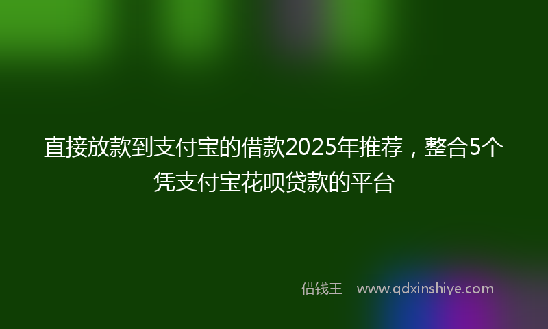 直接放款到支付宝的借款2025年推荐，整合5个凭支付宝花呗贷款的平台
