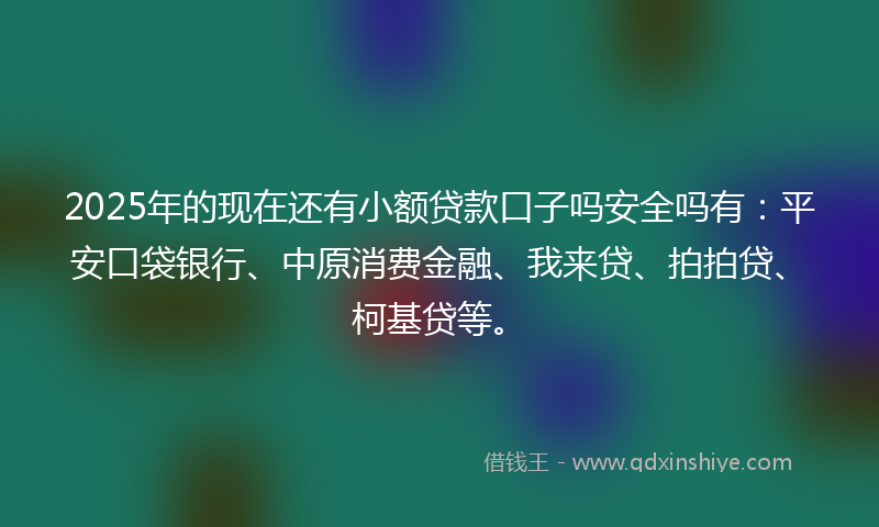 2025年的现在还有小额贷款口子吗安全吗有：平安口袋银行、中原消费金融、我来贷、拍拍贷、柯基贷等。