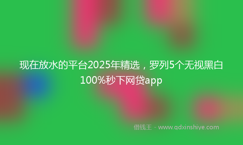 现在放水的平台2025年精选，罗列5个无视黑白100%秒下网贷app