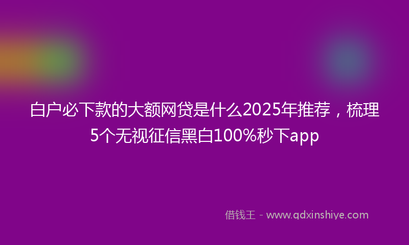 白户必下款的大额网贷是什么2025年推荐，梳理5个无视征信黑白100%秒下app