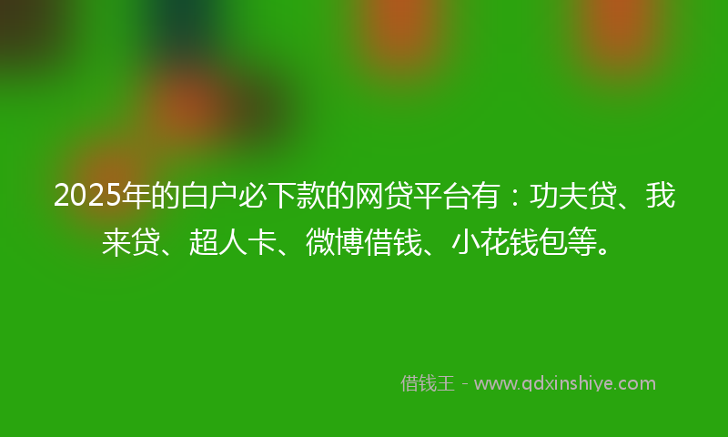 2025年的白户必下款的网贷平台有：功夫贷、我来贷、超人卡、微博借钱、小花钱包等。