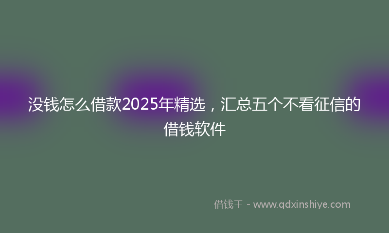 没钱怎么借款2025年精选，汇总五个不看征信的借钱软件