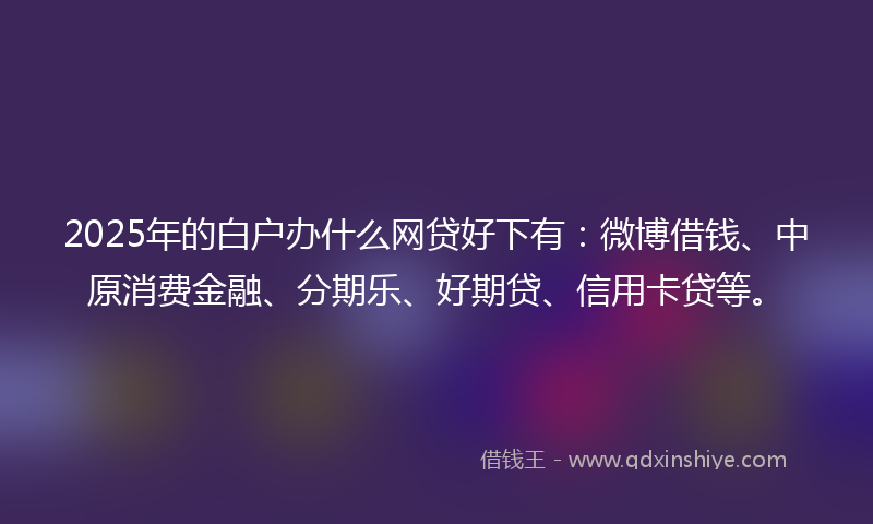 2025年的白户办什么网贷好下有：微博借钱、中原消费金融、分期乐、好期贷、信用卡贷等。