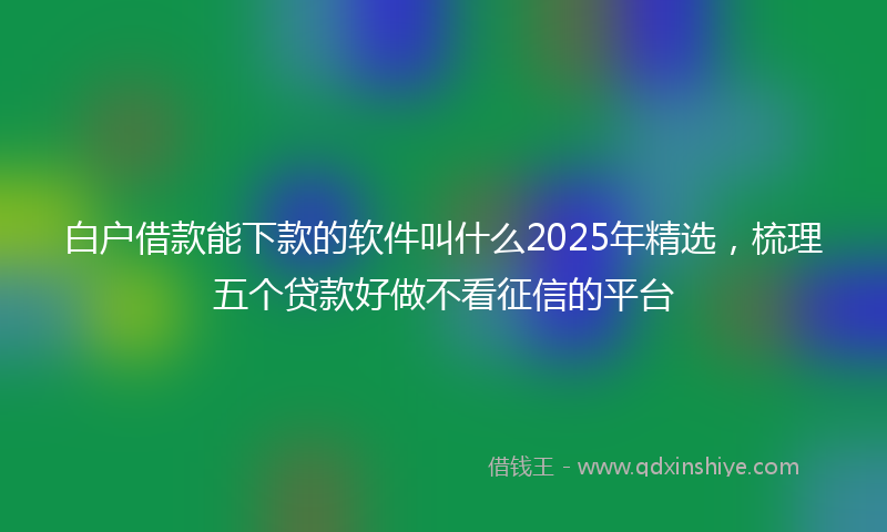 白户借款能下款的软件叫什么2025年精选，梳理五个贷款好做不看征信的平台