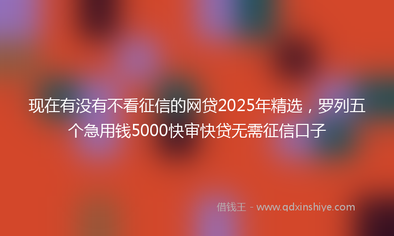 现在有没有不看征信的网贷2025年精选，罗列五个急用钱5000快审快贷无需征信口子