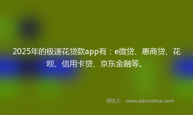 2025年的极速花贷款app有：e微贷、惠商贷、花呗、信用卡贷、京东金融等。